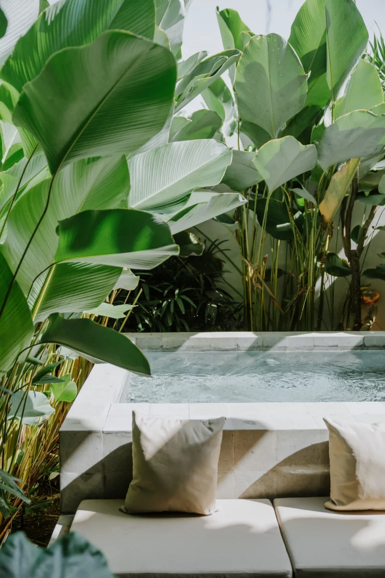 Pool Studio Plunge Pool