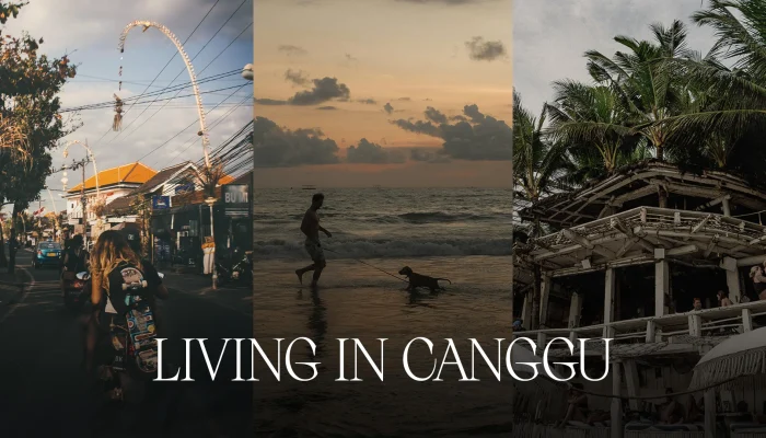 Living in Canggu A Foreigner’s Perspective on Bali’s Charm