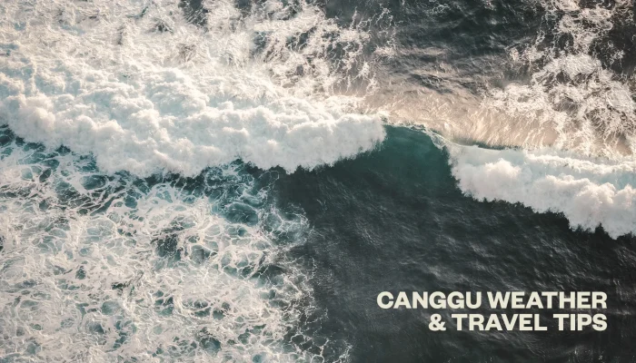 Weather, Travel Tips & Seasonal Charms in Canggu